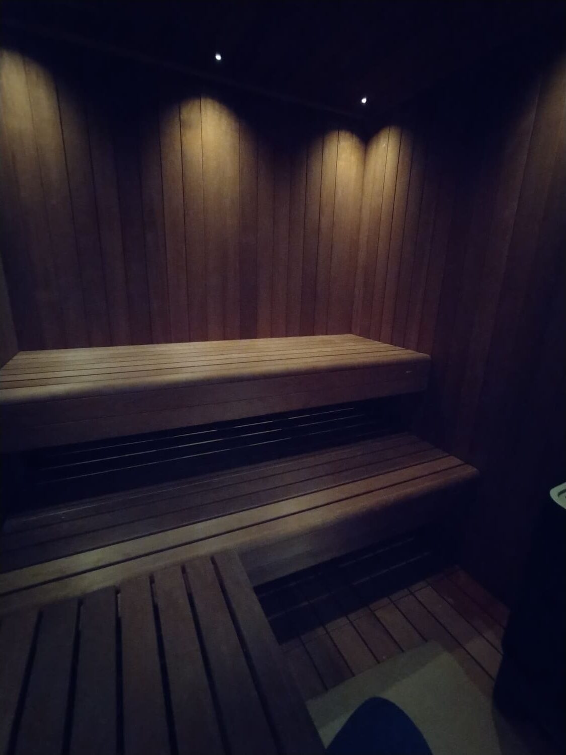 interno sauna legno scuro con faretti