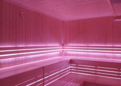 sauna SPA hotel per 20 persone