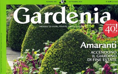 Saune e tinozze da esterno – Rivista Gardenia