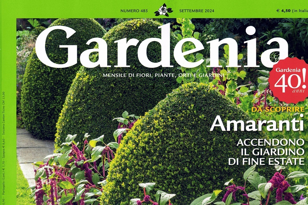 Saune e tinozze da esterno – Rivista Gardenia