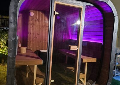 sauna da esterno Ice cube Lux con Tylo Sense Elite 8