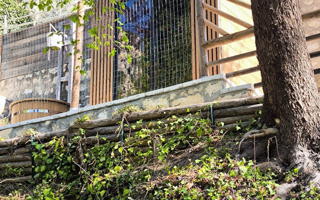 Sauna da Esterno Viva per Hotel: Biosauna Tylo Sense Combi