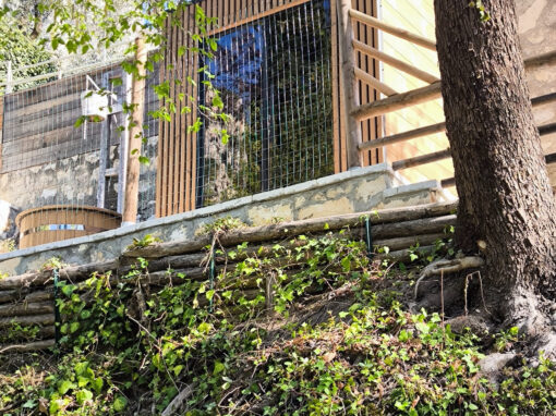 Sauna da Esterno Viva per Hotel: Biosauna Tylo Sense Combi